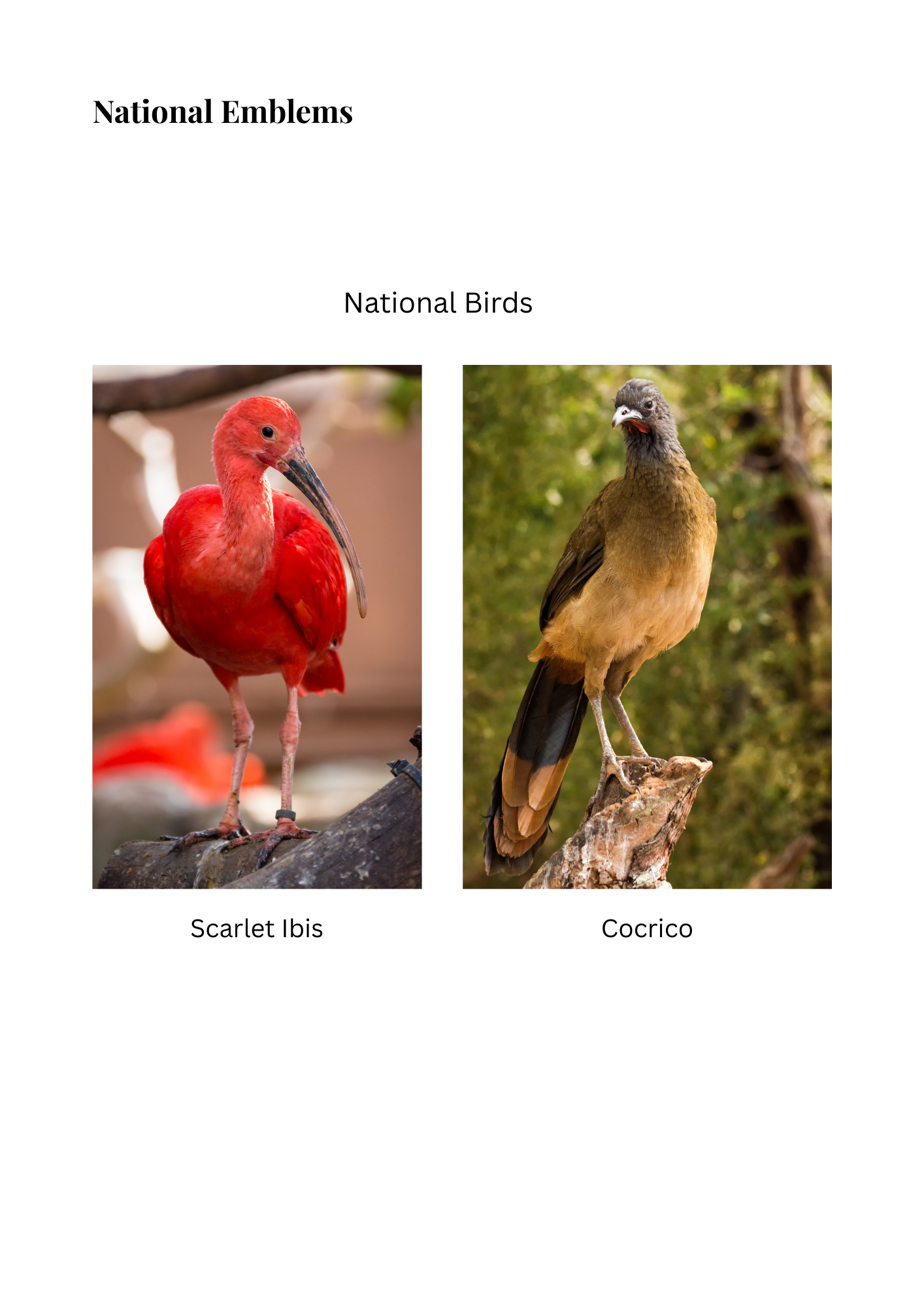 National Stories Visual Reference Pack